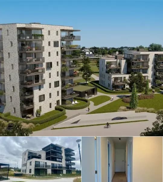 Apartment for rent (New construction project)