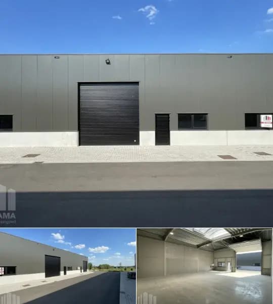 Industrial building for rent (New construction project)