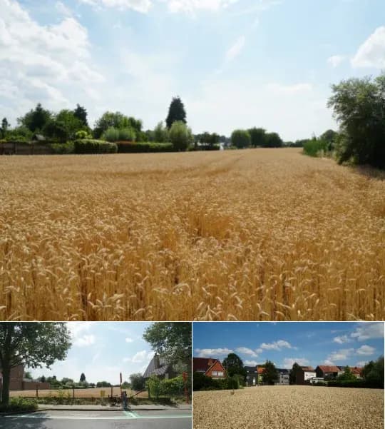 Development site for sale