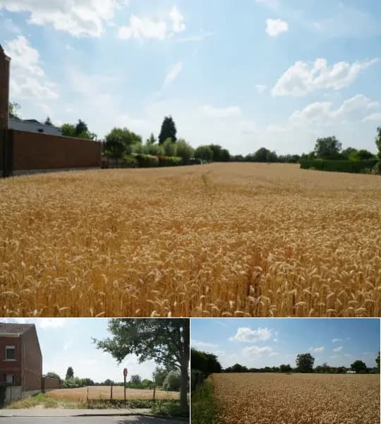 Development site for sale