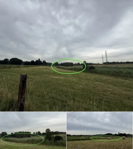 Farmland for sale