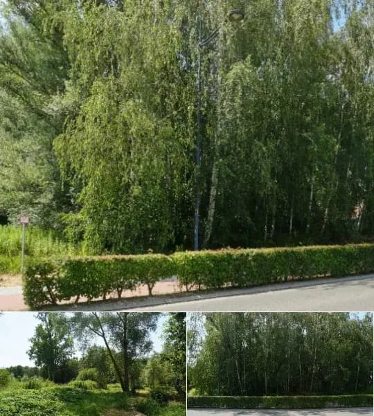 Development site for sale