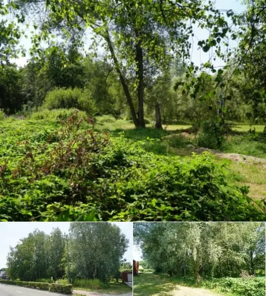 Development site for sale