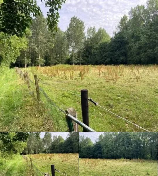 Farmland for sale