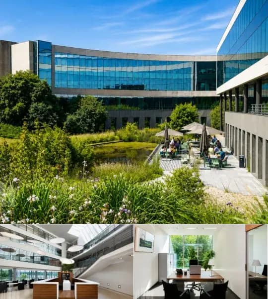 Office space for rent