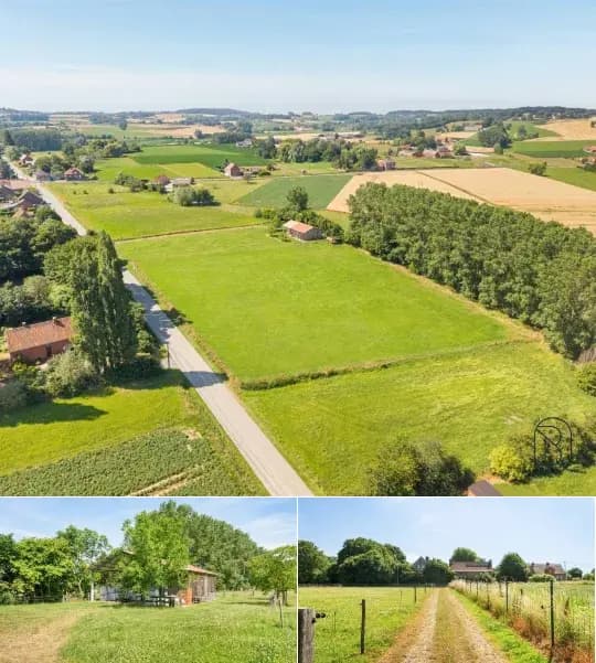 Farmland for sale