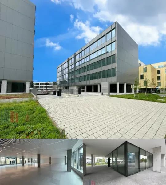 Office space for rent (New construction project)