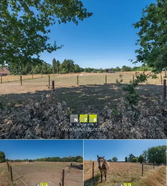 Farmland for sale