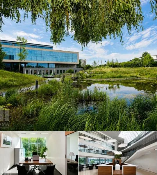 Office space for rent