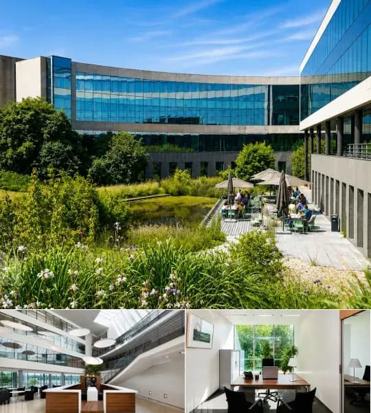 Office space for rent