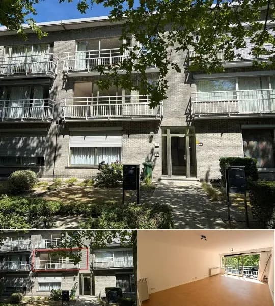 Apartment for rent