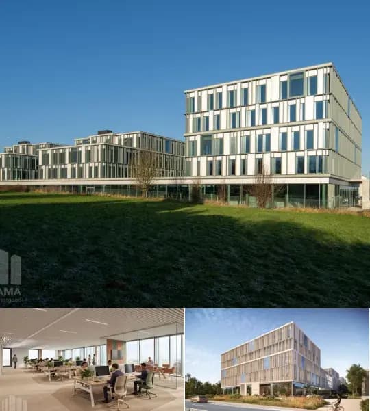 Office space for rent (New construction project)