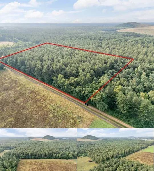 Farmland for sale