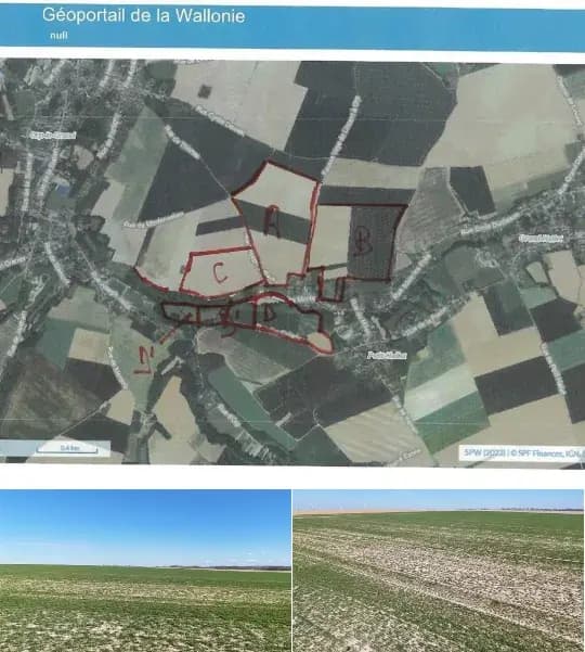Farmland for sale