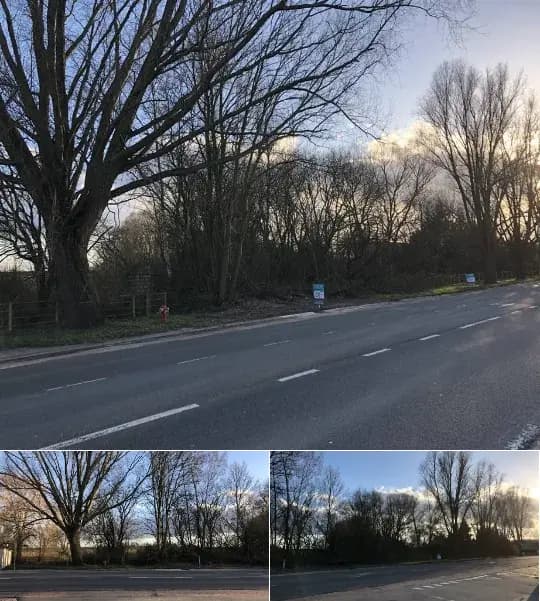 Land for sale