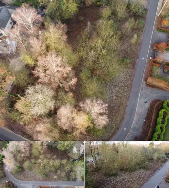 Land for sale