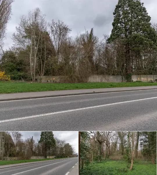 Land for sale