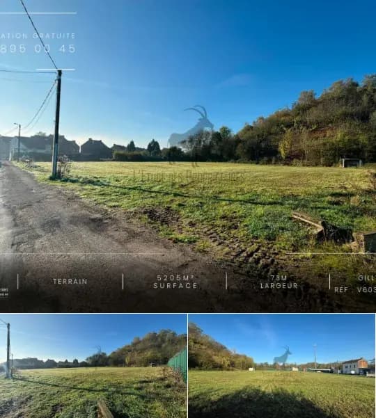 Green zone for sale