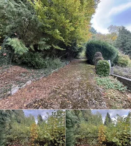 Wood for sale