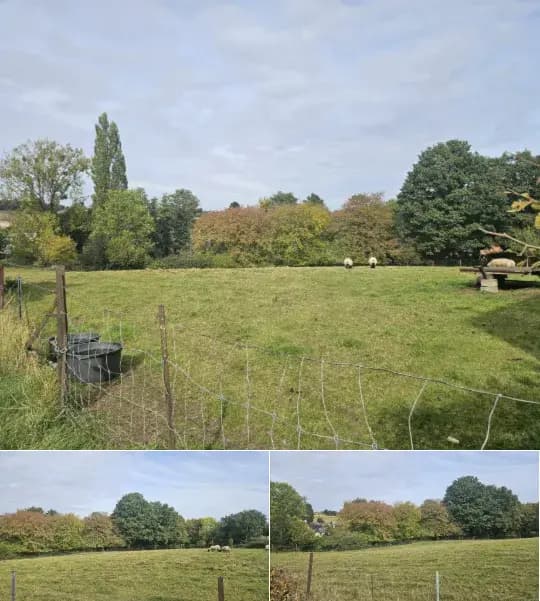 Land for sale