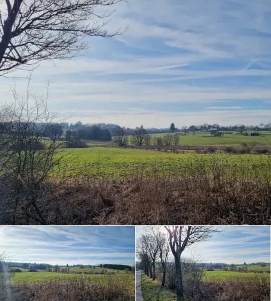 Farmland for sale