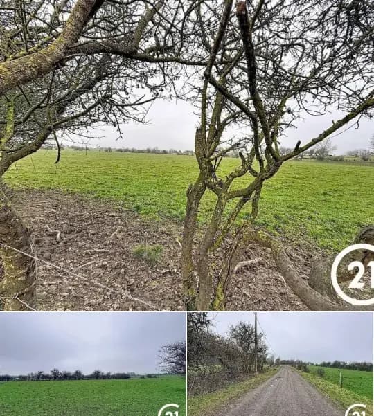 Farmland for sale