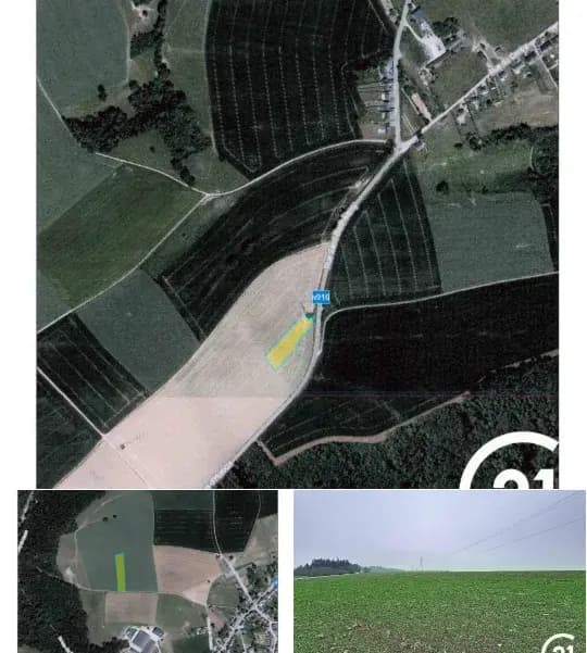 Farmland for sale