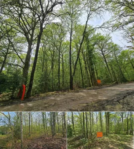 Land for sale