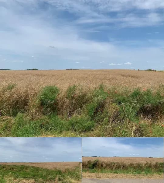 Land for sale