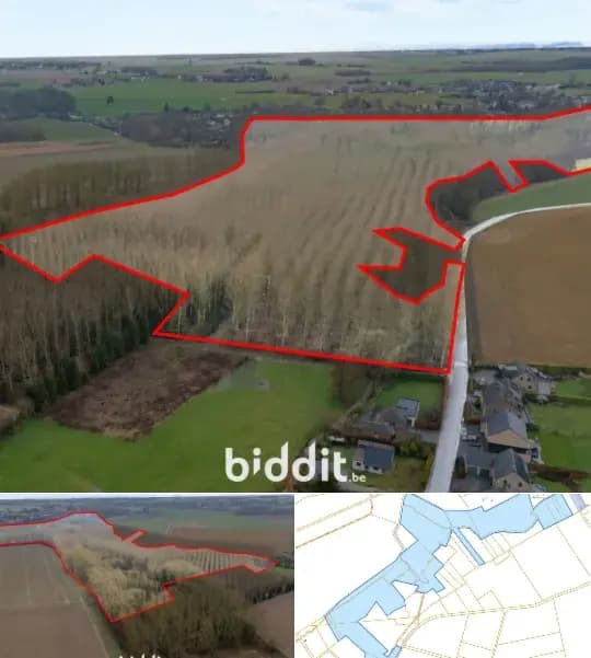 Land in public sale