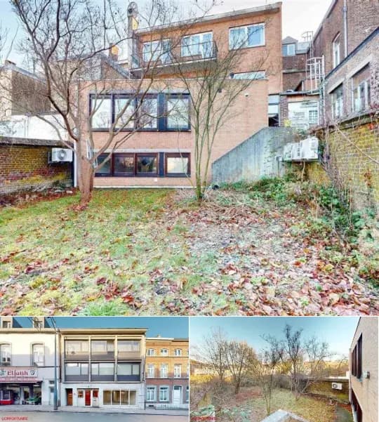 Triplex for sale