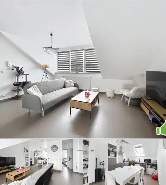 Apartment for rent