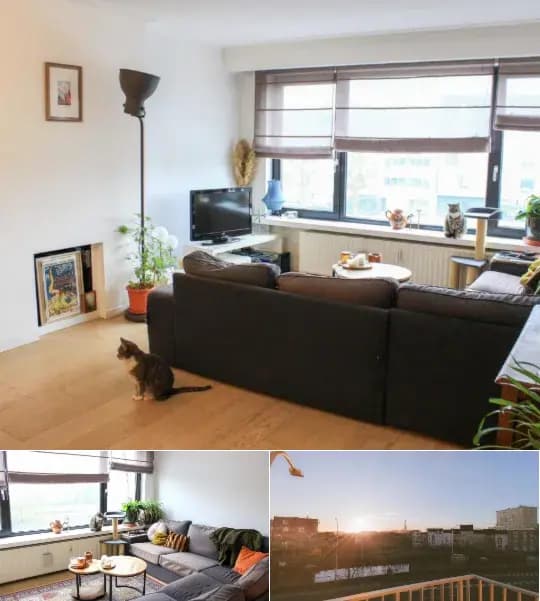 Apartment for rent