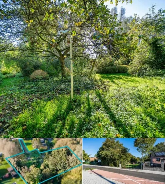 Land for sale