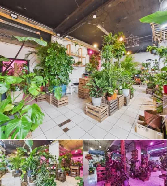 Commercial building for rent