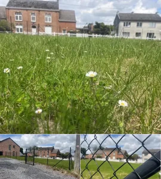 Development site for sale
