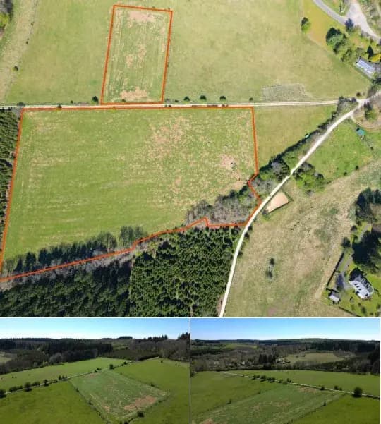 Farmland for sale