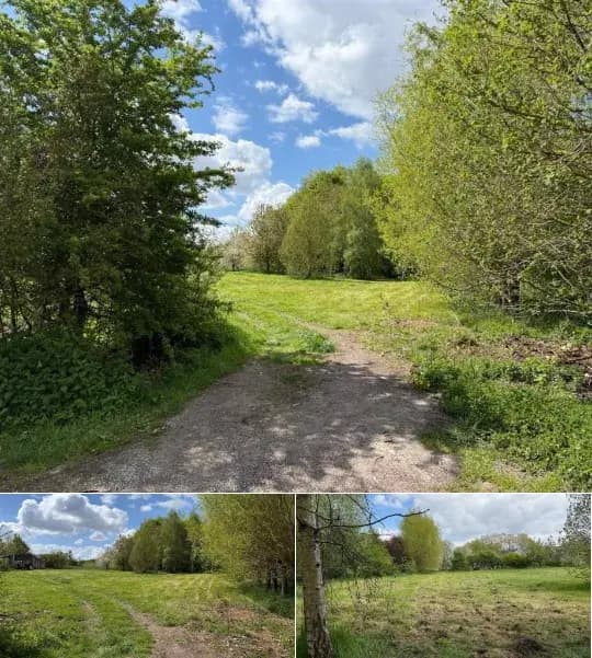 Land for sale