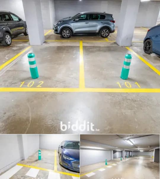 Parking in public sale