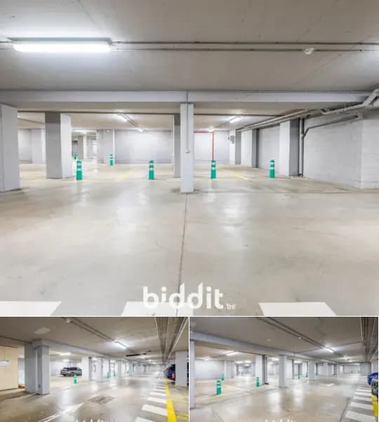 Parking in public sale