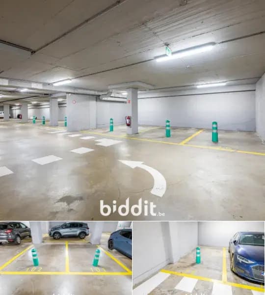 Parking in public sale