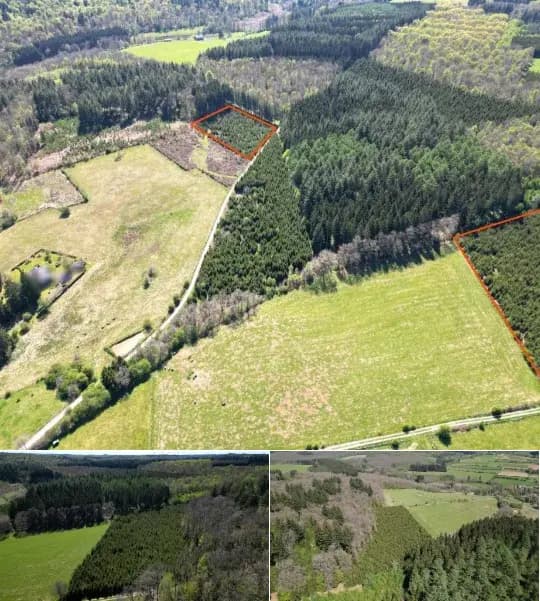 Farmland for sale