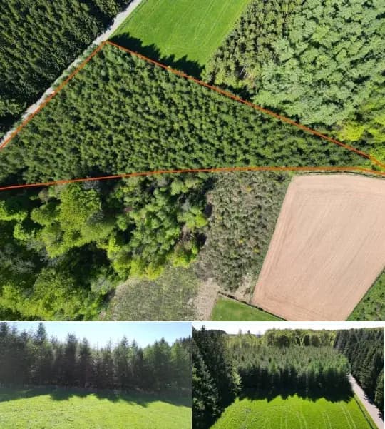 Farmland for sale