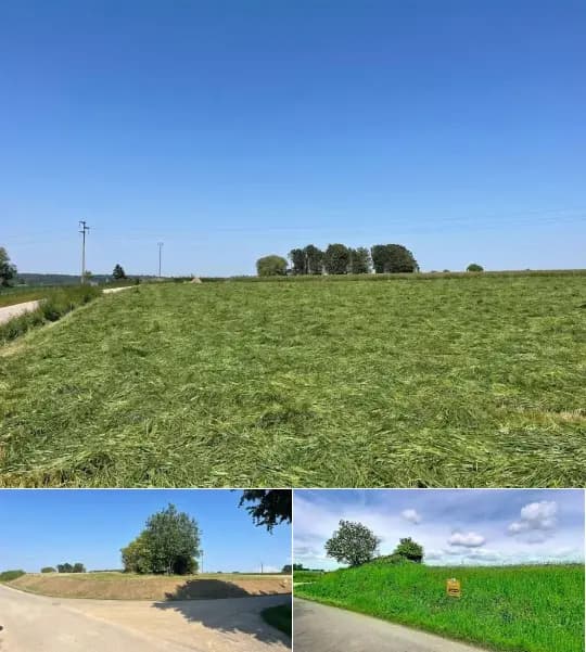 Land for sale