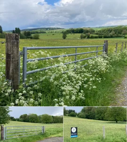 Farmland for sale