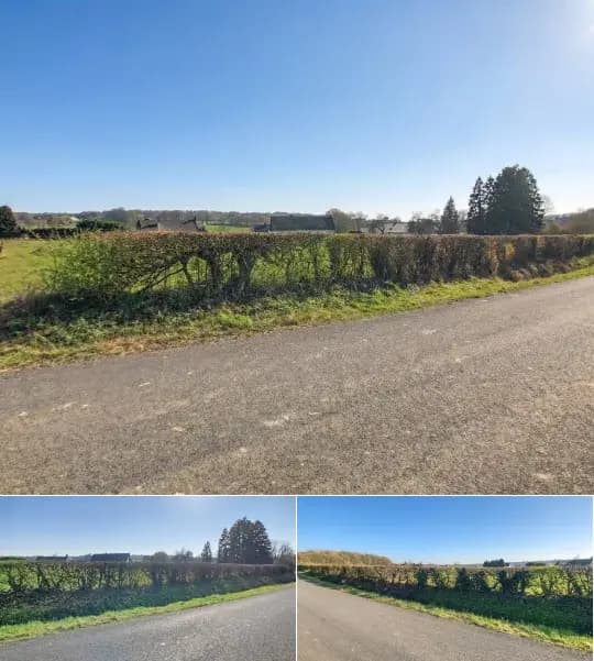 Land for sale