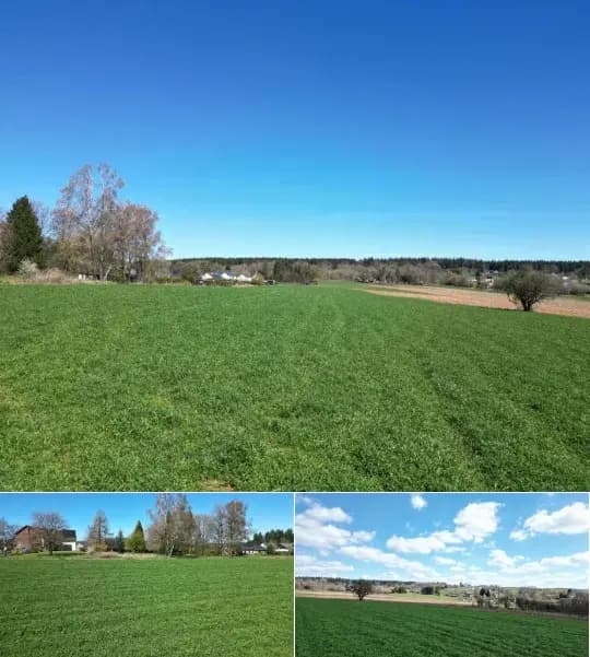 Land for sale