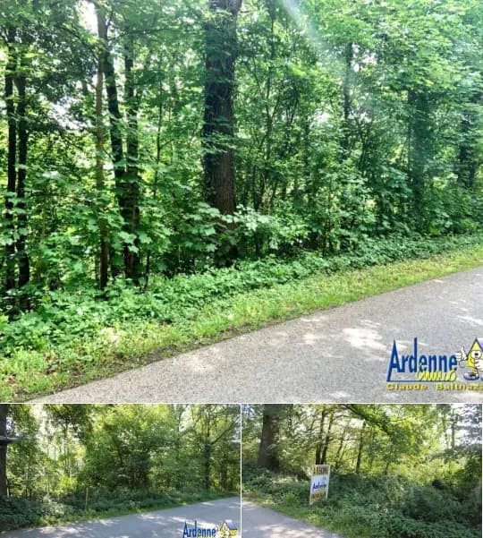 Land for sale