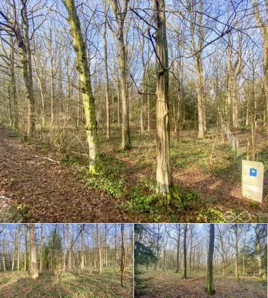 Development site for sale
