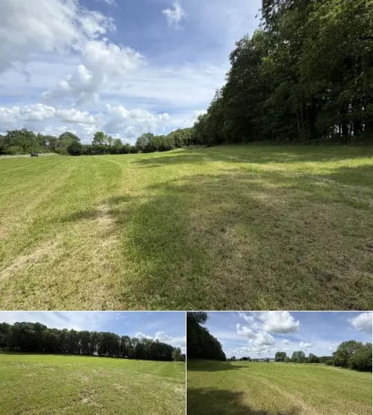 Farmland for sale